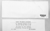 Ditopella ditopa image